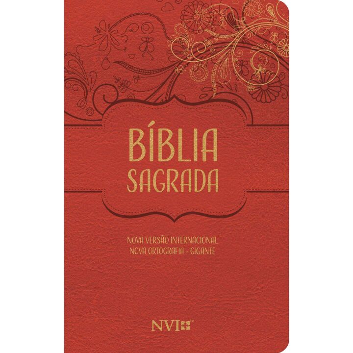 Bíblia NVI gigante Novo Testamento - 2 Cores Luxo vermelha