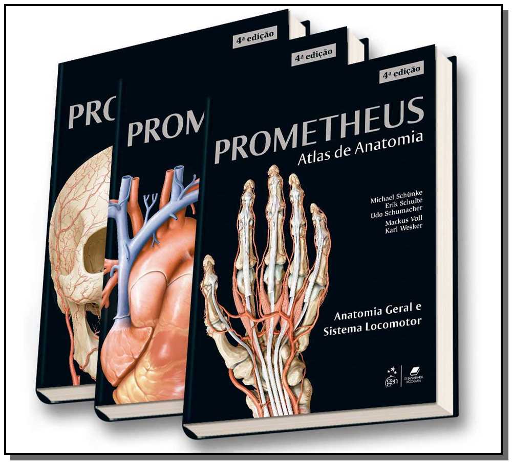 Coleção Prometheus - Atlas de Anatomia - 3 Volumes - 04Ed/19