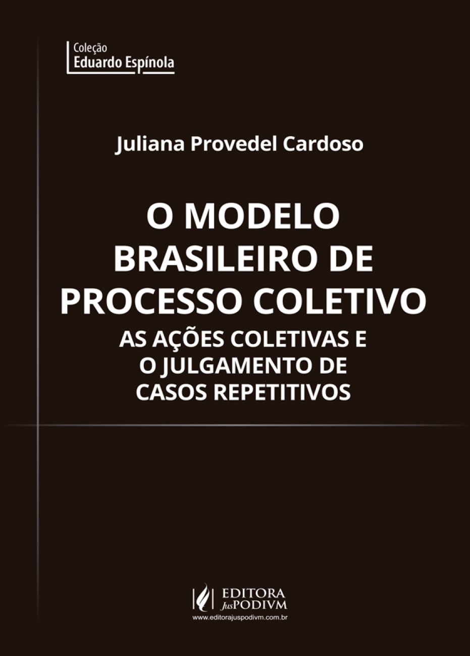O modelo brasileiro de processo coletivo