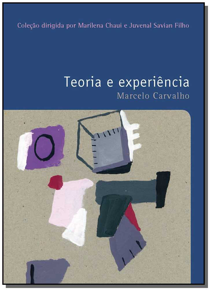 TEORIA E EXPERIENCIA - VOL. 26