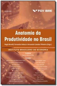 Anatomia da Produtividade no Brasil