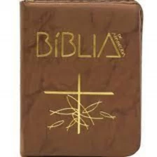 Bíblia de Aparecida - Bolso zíper flexível marrom